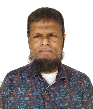 কামাল হোসেন